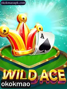 okokmao Casino App